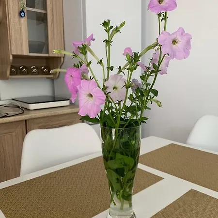 Zeino Place * Constanţa